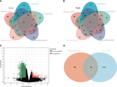 Neutrophil infiltration associated genes on the prognosis and tumor immune microenvironment of lung adenocarcinoma